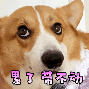 一动不动