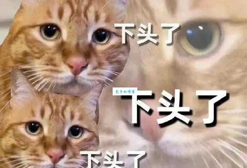 下头