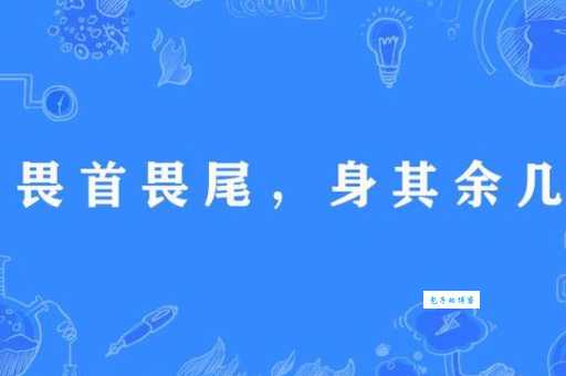 畏首畏尾的意思解释、造句、出处典故、成语接龙