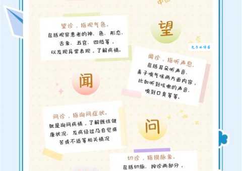 望闻问切是什么意思