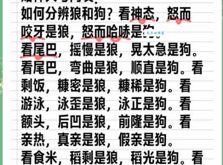 狼心狗肺的意思解释、造句、出处典故、成语接龙