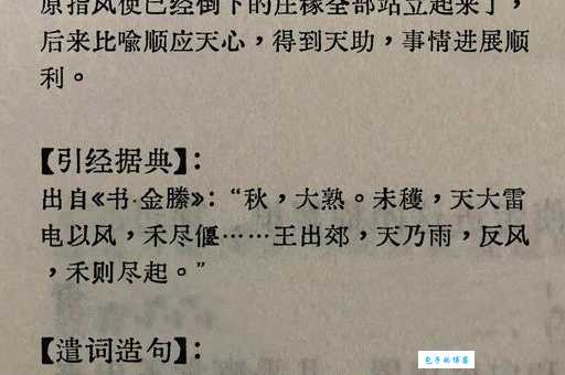 金风送爽的意思解释、造句、出处典故、成语接龙
