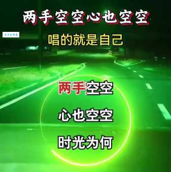 两手空空的意思解释、造句、出处典故、成语接龙