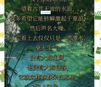 古井无波
