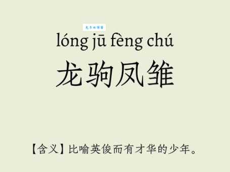成语“龙驹凤雏”的翻译、意思、用法、解释、故事典故