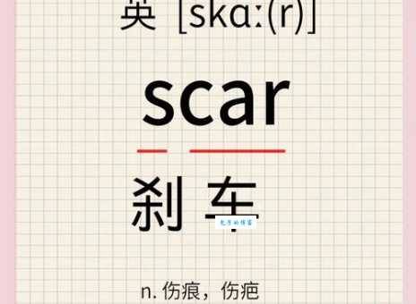 scarf是什么意思_scarf的中文翻译