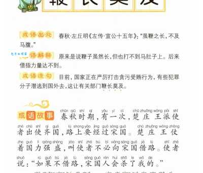 鞭长莫及的意思_鞭长莫及的近义词｜反义词_鞭长莫及造句例句