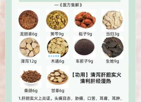 肝胆照人的意思解释、造句、出处典故、成语接龙