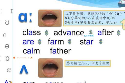 il是什么意思？il怎么读？il例句及用法