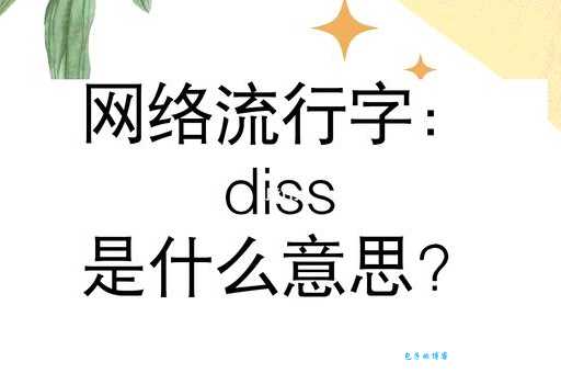 diss是什么意思？