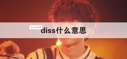 diss是什么意思？