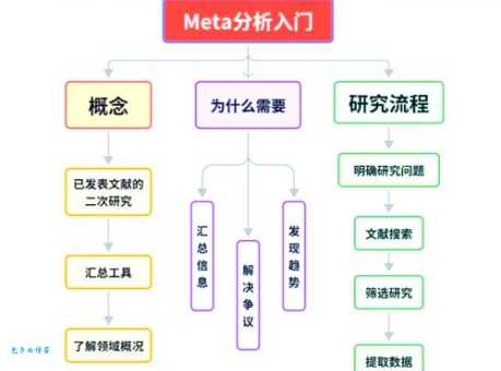 meta是什么意思？meta怎么读？meta例句及用法