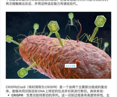 crisp是什么意思_crisp的中文翻译