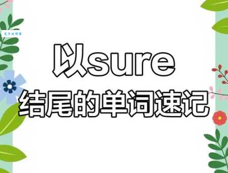 sure是什么意思