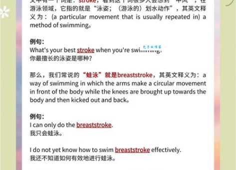 swimmer是什么意思_swimmer的中文翻译