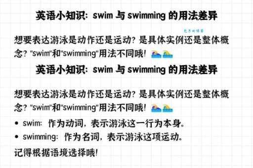 swimmer是什么意思_swimmer的中文翻译
