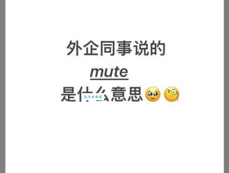 scope是什么意思_scope的中文翻译
