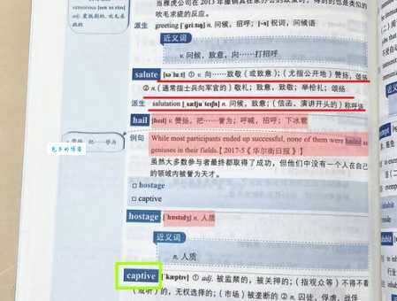 hail是什么意思_hail的中文翻译