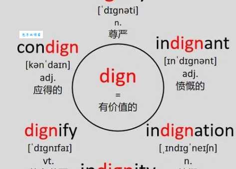 grind是什么意思？grind怎么读？grind例句及用法