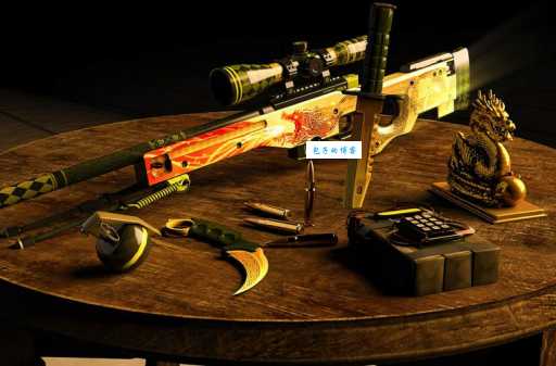counterstrike是什么意思_counterstrike的中文翻译