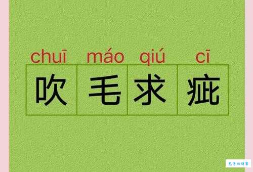 吹毛求疵的意思_吹毛求疵的近义词｜反义词_吹毛求疵造句例句