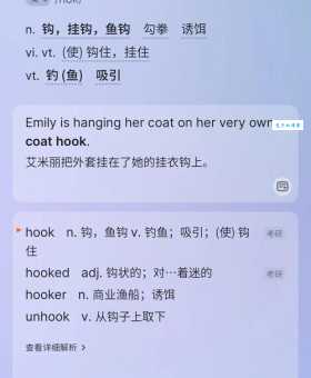 hook是什么意思_hook的中文翻译