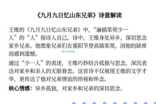 遍插茱萸少一人是什么意思