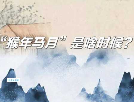 猴年马月