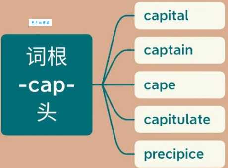 cape是什么意思？cape怎么读？cape例句及用法