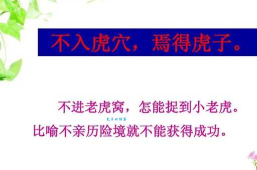 虎瘦雄心在的意思解释、造句、出处典故、成语接龙