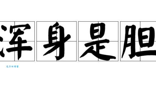 浑身是胆