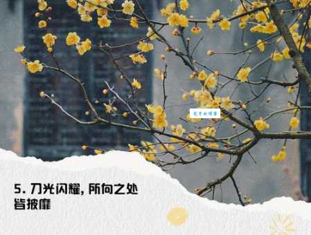 锋芒毕露