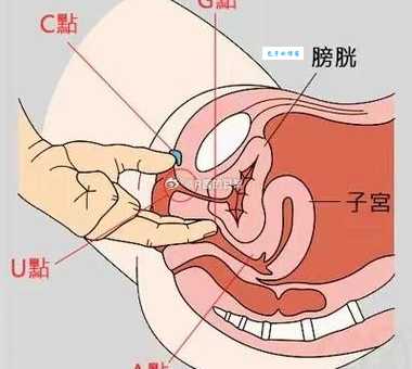 爱爱秘籍舔女人私处(舔阴)完全指南