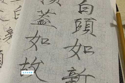 白首如新