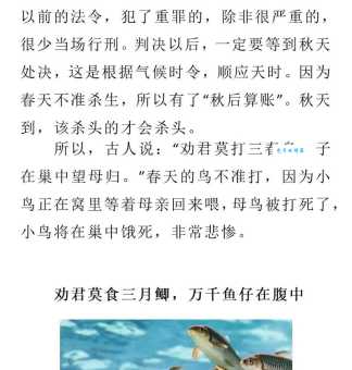 应天顺时什么意思？应天顺时四字成语意思解释、出处