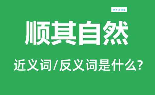 顺其自然VS积极进取:反义词深度解析及应用