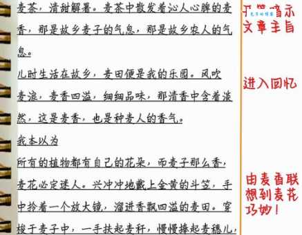 回味、体味、品味:近义词的细微差别及例句