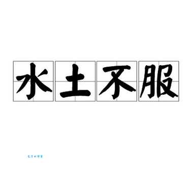 快速了解水土不服的反义词,从此适应新环境不再难