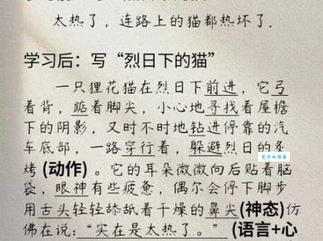 学会用机灵的近义词,让你的文章更生动