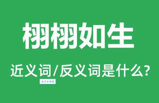 栩栩如生和奄奄一息的区别,反义词深度解析