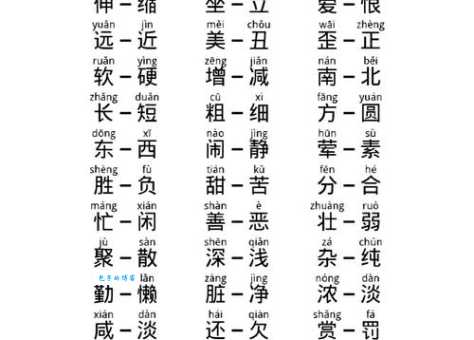 独特与普通的区别:反义词的深度解析