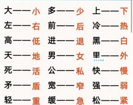 独特与普通的区别:反义词的深度解析