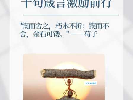 锲而不舍近义词详解,表达坚持的多种方式