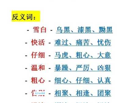 你知道奇丽的反义词吗？教你轻松掌握词语辨析