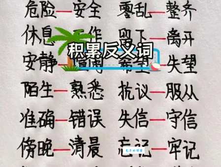 学习理解聪颖的反义词:愚钝、愚昧、鸠拙的区别