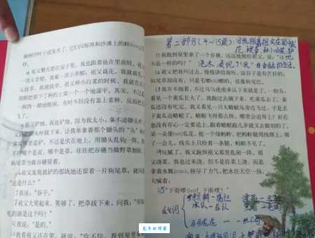 夺冠近义词大盘点:冠军、取胜、第一名等意思区别