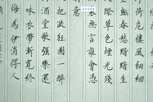拟把疏狂图一醉，对酒当歌，强乐还无味。
