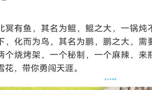 北冥有鱼，其名为鲲。