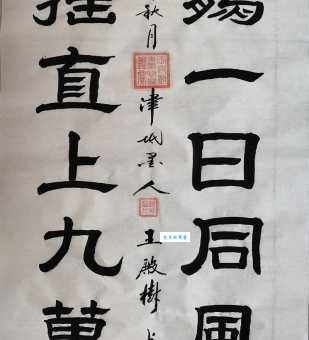 大鹏一日同风起，扶摇直上九万里。