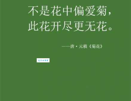 不是花中偏爱菊，此花开尽更无花。